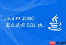 java 中 jdbc 怎么监控 sql 执行耗时与性能