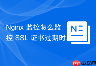 nginx 监控怎么监控 ssl 证书过期时间并接入 prometheus 告警