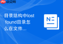 目录结构中lost+found目录怎么在文件系统异常断电修复后找回孤儿文件