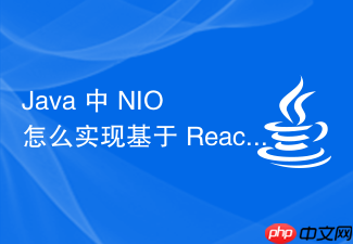 java 中 nio 怎么实现基于 reactor 模型的网络服务器