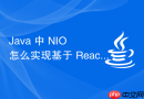 java 中 nio 怎么实现基于 reactor 模型的网络服务器