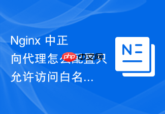 nginx 中正向代理怎么配置只允许访问白名单内的企业内部系统