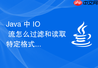 java 中 io 流怎么过滤和读取特定格式的二进制文件