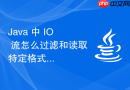 java 中 io 流怎么过滤和读取特定格式的二进制文件
