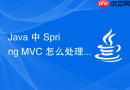 Java 中 Spring MVC 怎么处理请求参数的解密与验签
