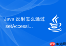 Java 反射怎么通过 setAccessible(true) 突破访问权限限制修改私有成员变量
