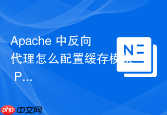 apache 中反向代理怎么配置缓存模块 proxycache 加速静态资源访问