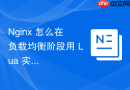 nginx 怎么在负载均衡阶段用 lua 实现自定义的加权轮询算法