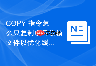 copy 指令怎么只复制项目依赖文件以优化缓存命中率