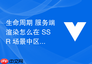 生命周期 服务端渲染怎么在 ssr 场景中区分只在客户端执行的生命周期钩子