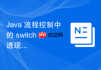java 流程控制中的 switch 穿透现象怎么正确利用与防御