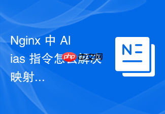 nginx 中 alias 指令怎么解决映射目录下的静态资源出现 404 的常见故障