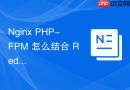 nginx php-fpm 怎么结合 redis 实现分布式会话共享与存储