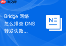 Bridge 网络怎么排查 DNS 转发失败导致的解析超时