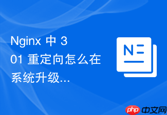 nginx 中 301 重定向怎么在系统升级期间动态调整部分核心路由