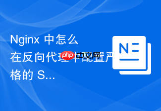nginx 中怎么在反向代理中配置严格的 sql 注入与 xss 防御代理