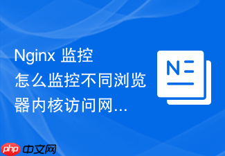 nginx 监控怎么监控不同浏览器内核访问网站的流量占比