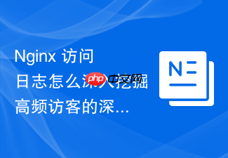 nginx 访问日志怎么深入挖掘高频访客的深层行为模式