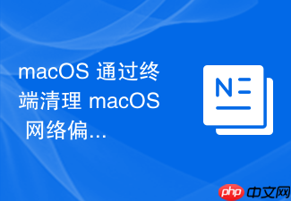 macos 通过终端清理 macos 网络偏好设置缓存