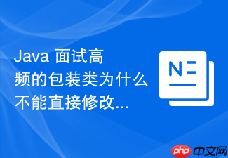 java 面试高频的包装类为什么不能直接修改内部包装的数值