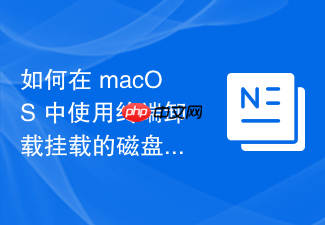 如何在 macos 中使用终端卸载挂载的磁盘卷