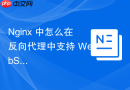 nginx 中怎么在反向代理中支持 websocket 协议的长连接转发