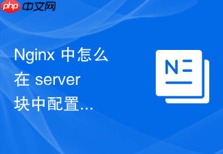 nginx 中怎么在 server 块中配置符号链接跟随属性以正常读取资源