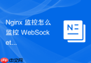 nginx 监控怎么监控 websockets 长连接的实时在线并发数