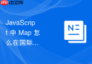 javascript 中 map 怎么在国际化时间格式化工具中缓存不同语言的解析模版