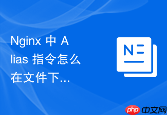 nginx 中 alias 指令怎么在文件下载服务中安全托管受密码保护的目录