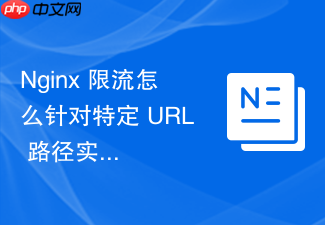 nginx 限流怎么针对特定 url 路径实施精准的接口限流策略