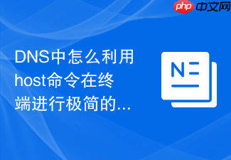 dns中怎么利用host命令在终端进行极简的域名解析检测与ipv6地址记录提取