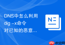 dns中怎么利用dig -x命令对已知的恶意ip地址进行反向解析以快速锁定其背后的域名攻击源
