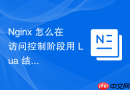 Nginx 怎么在访问控制阶段用 Lua 结合机器学习模型识别爬虫