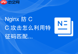 nginx 防 cc 攻击怎么利用特征码匹配实时拦截恶意注入请求