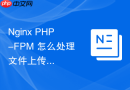 nginx php-fpm 怎么处理文件上传与下载过程中的中断异常