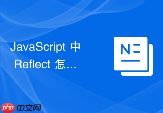 javascript 中 reflect 怎么配合 reflect api 安全操作对象的底层反射方法