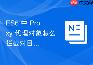 es6 中 proxy 代理对象怎么拦截对目标对象的属性读写
