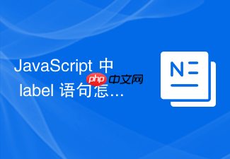 javascript 中 label 语句怎么配合 break 跳出外层循环