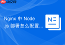 Nginx 中 Node.js 部署怎么配置 DocumentRoot 加载前端源码
