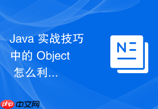 java 实战技巧中的 object 怎么利用多态特性编写通用工具方法