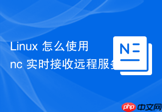 linux 怎么使用 nc 实时接收远程服务器发送的 syslog