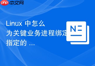 linux 中怎么为关键业务进程绑定指定的 cpu 核心运行