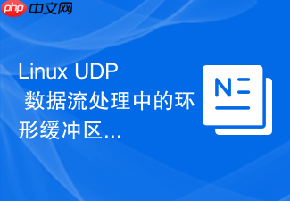 linux udp 数据流处理中的环形缓冲区应用