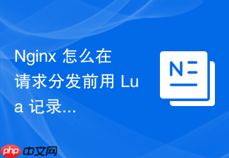 nginx 怎么在请求分发前用 lua 记录详细的调试日志与上下文
