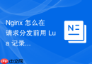 nginx 怎么在请求分发前用 lua 记录详细的调试日志与上下文