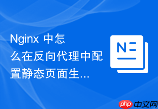 nginx 中怎么在反向代理中配置静态页面生成工具的目录托管代理