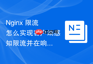 nginx 限流怎么实现客户端感知限流并在响应头中返回剩余配额