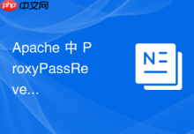 Apache 中 ProxyPassReverse 怎么解决重定向丢失子目录路径的故障