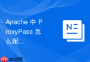 apache 中 proxypass 怎么配置将实时流媒体请求代理到流服务器集群